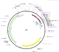 Thumbnail for version as of 13:45, 16 December 2022